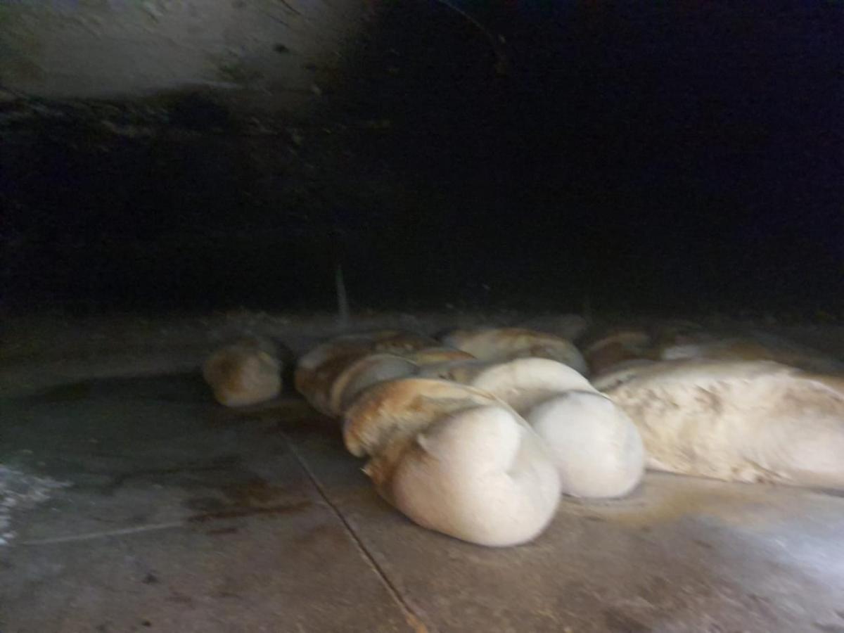 Masseria Sacramento Palagianello Zewnętrze zdjęcie